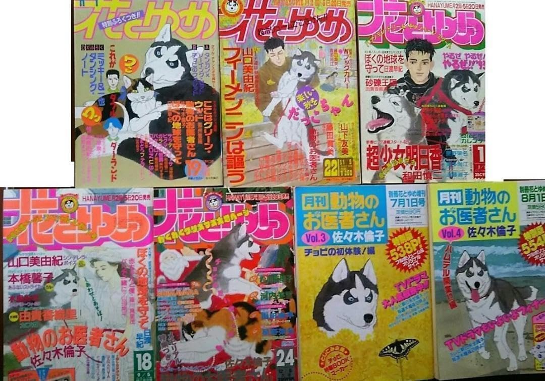 オキシ 12パーセント 3本セット 美容師 美容室 オキシ 12パーセント 4